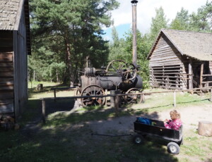 Kaszubski Park Etnograficzny tradycyjna zabudowa i pociąg