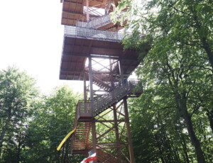 wieża widokowa Wieżyca Kaszuby las