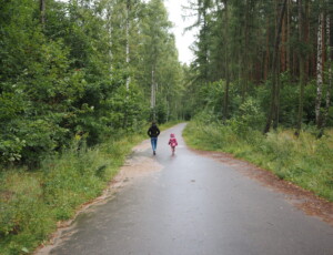 szlak nad morze spacer Kaszuby las